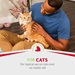 P-93359 Rinse-Free deShedding Foaming Shampoo for Cats