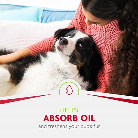 P-93309-2 FURminator® Dry Shampoo 7 oz - Helps Absorbs Oil