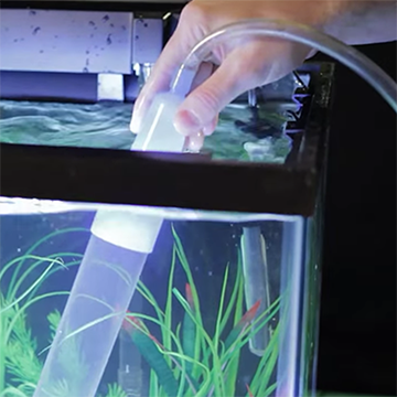Aquarium equipment maintence tips