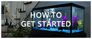 How to get started