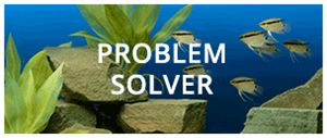 Problem solver